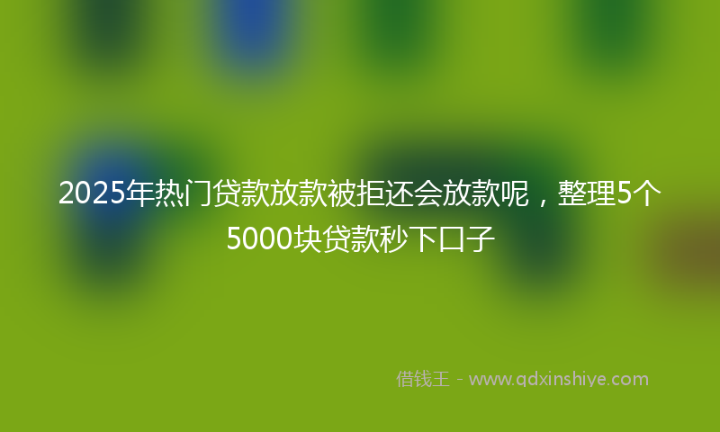 2025年热门贷款放款被拒还会放款呢，整理5个5000块贷款秒下口子