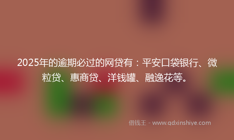 2025年的逾期必过的网贷有：平安口袋银行、微粒贷、惠商贷、洋钱罐、融逸花等。