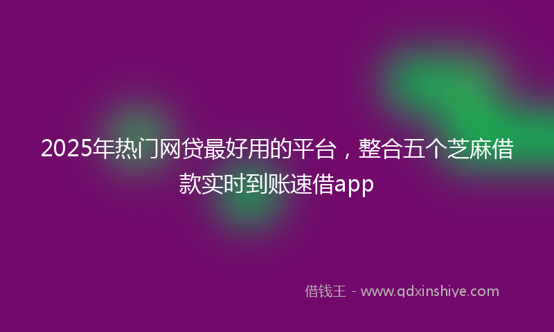 2025年热门网贷最好用的平台，整合五个芝麻借款实时到账速借app
