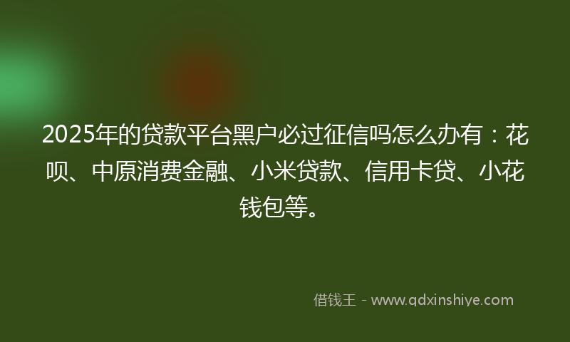 2025年的贷款平台黑户必过征信吗怎么办有：花呗、中原消费金融、小米贷款、信用卡贷、小花钱包等。