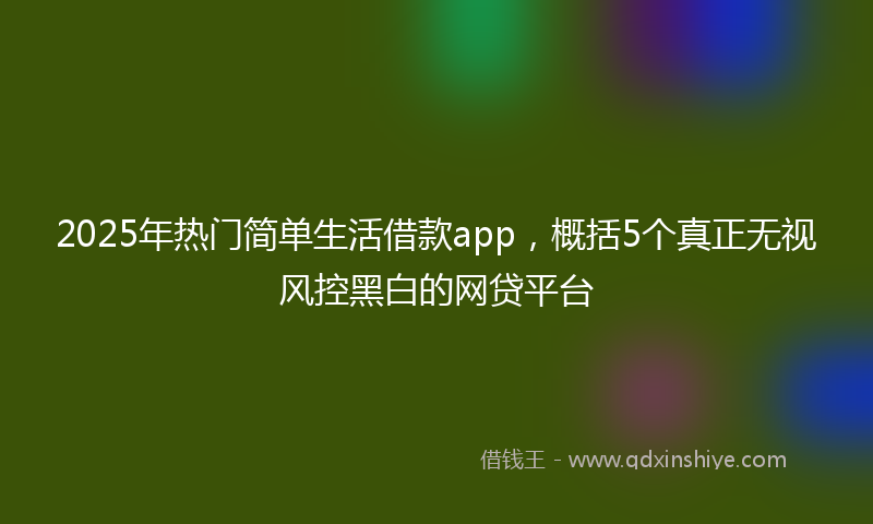2025年热门简单生活借款app，概括5个真正无视风控黑白的网贷平台