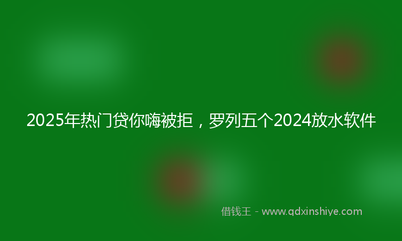 2025年热门贷你嗨被拒，罗列五个2024放水软件