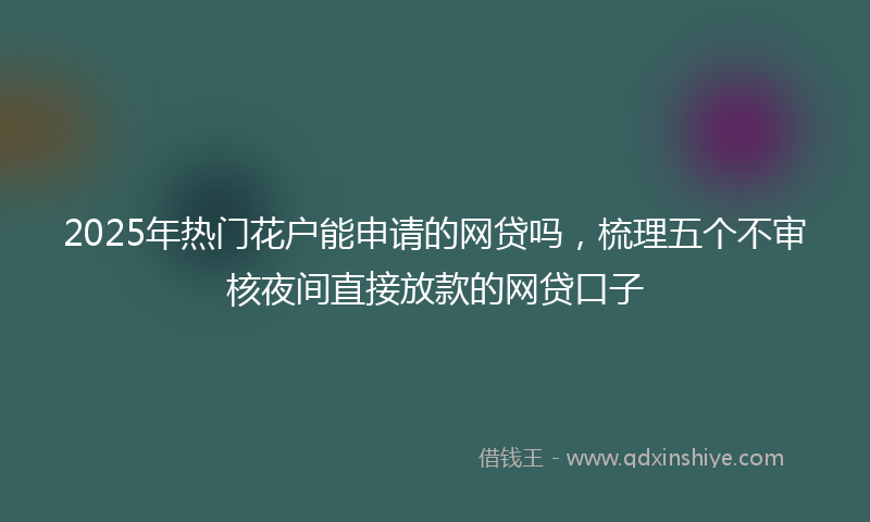 2025年热门花户能申请的网贷吗，梳理五个不审核夜间直接放款的网贷口子