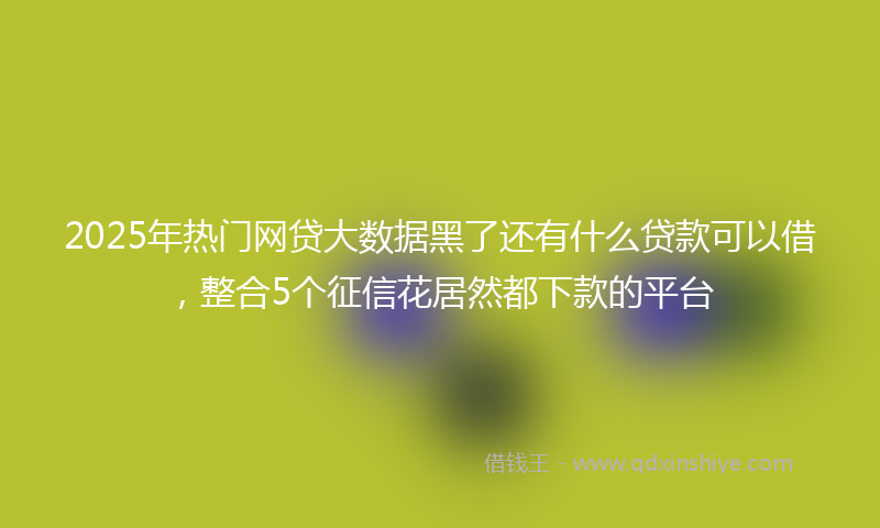 2025年热门网贷大数据黑了还有什么贷款可以借，整合5个征信花居然都下款的平台