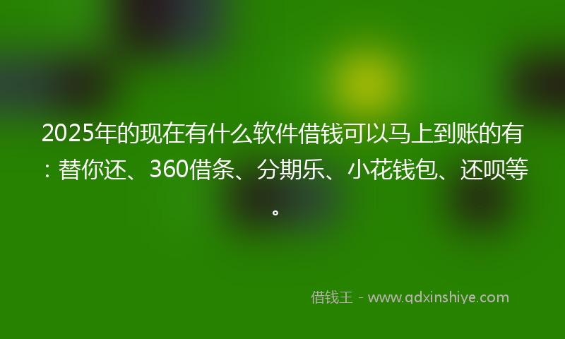 2025年的现在有什么软件借钱可以马上到账的有：替你还、360借条、分期乐、小花钱包、还呗等。