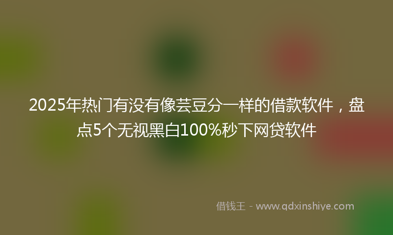 2025年热门有没有像芸豆分一样的借款软件，盘点5个无视黑白100%秒下网贷软件