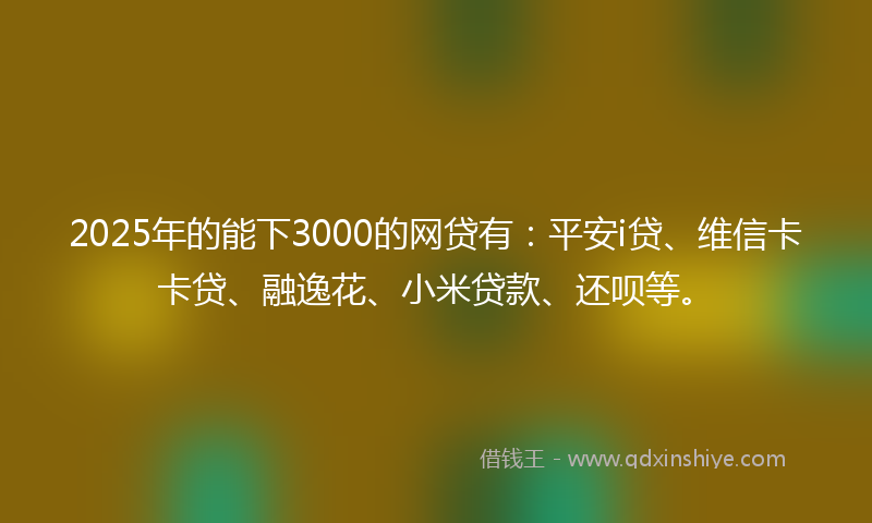 2025年的能下3000的网贷有：平安i贷、维信卡卡贷、融逸花、小米贷款、还呗等。