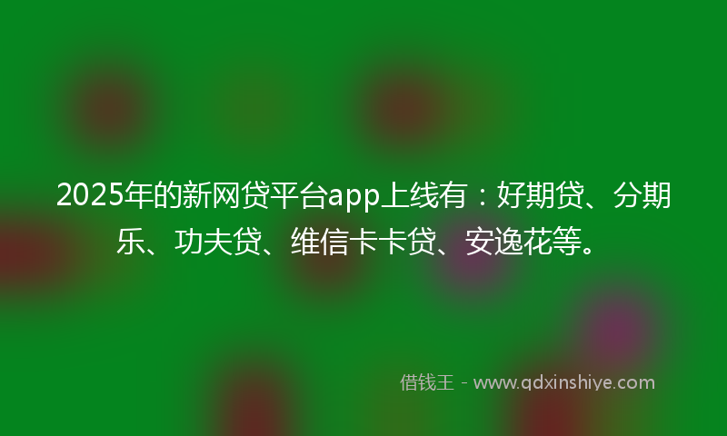 2025年的新网贷平台app上线有：好期贷、分期乐、功夫贷、维信卡卡贷、安逸花等。