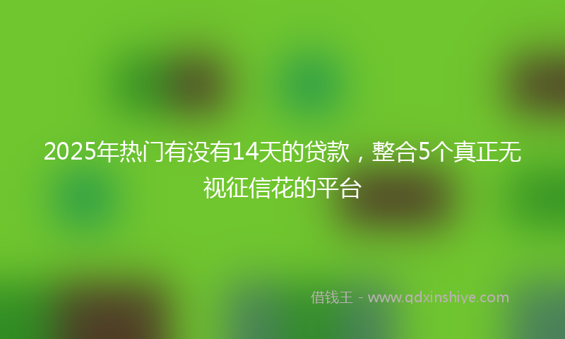 2025年热门有没有14天的贷款，整合5个真正无视征信花的平台