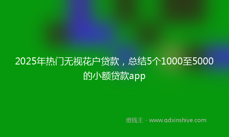 2025年热门无视花户贷款，总结5个1000至5000的小额贷款app