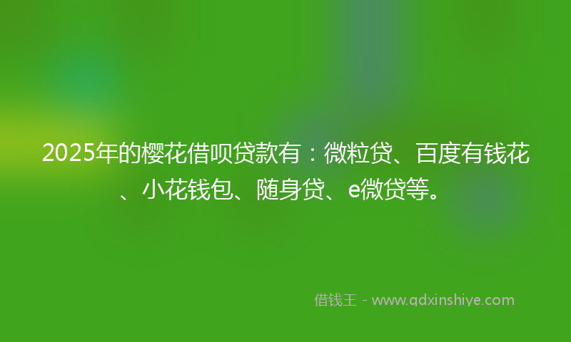 2025年的樱花借呗贷款有：微粒贷、百度有钱花、小花钱包、随身贷、e微贷等。