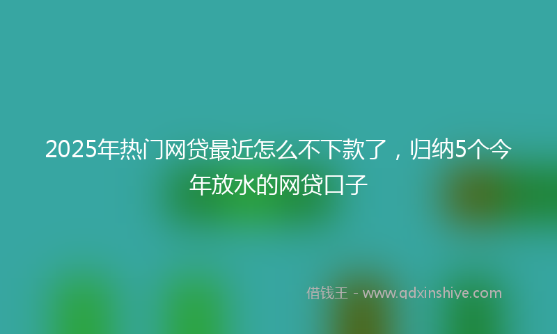 2025年热门网贷最近怎么不下款了，归纳5个今年放水的网贷口子