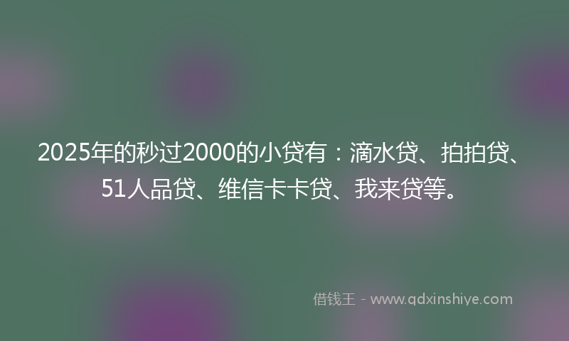 2025年的秒过2000的小贷有：滴水贷、拍拍贷、51人品贷、维信卡卡贷、我来贷等。