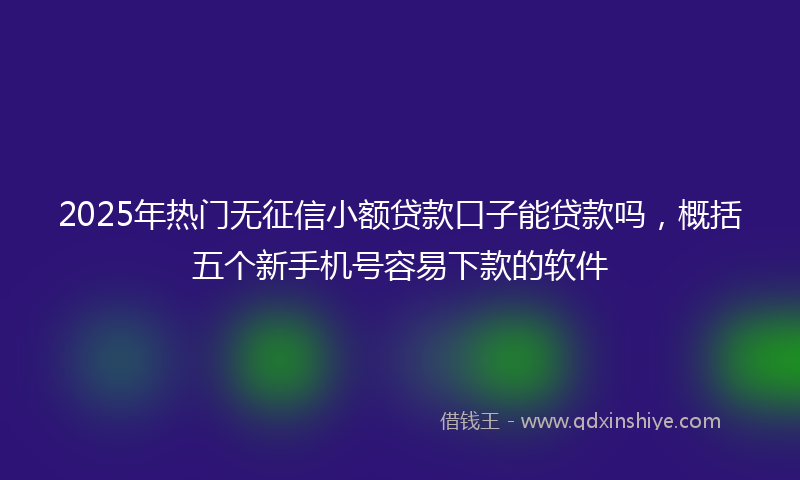 2025年热门无征信小额贷款口子能贷款吗，概括五个新手机号容易下款的软件
