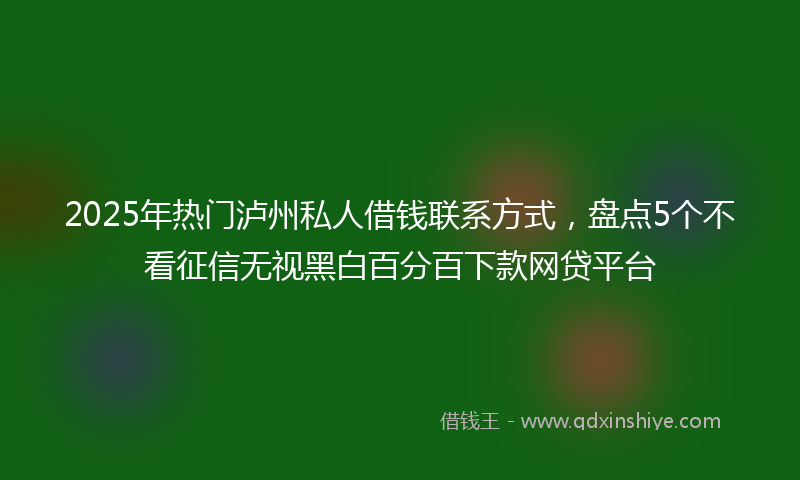 2025年热门泸州私人借钱联系方式，盘点5个不看征信无视黑白百分百下款网贷平台