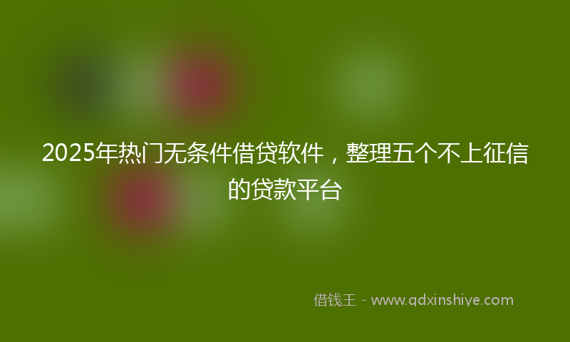 2025年热门无条件借贷软件，整理五个不上征信的贷款平台