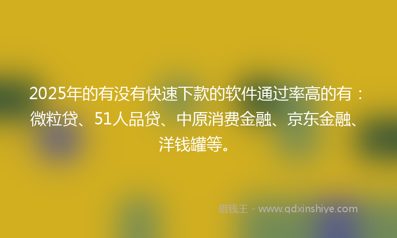 2025年的有没有快速下款的软件通过率高的有：微粒贷、51人品贷、中原消费金融、京东金融、洋钱罐等。