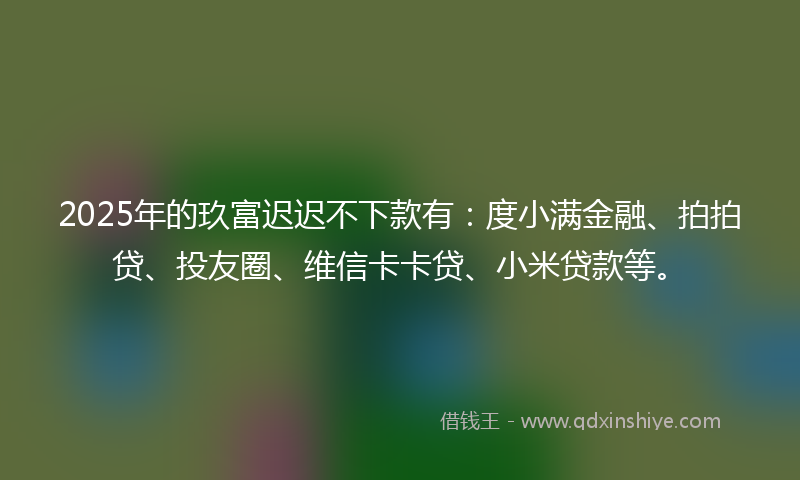 2025年的玖富迟迟不下款有：度小满金融、拍拍贷、投友圈、维信卡卡贷、小米贷款等。