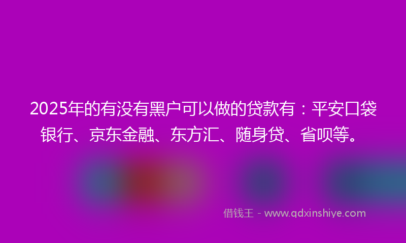 2025年的有没有黑户可以做的贷款有：平安口袋银行、京东金融、东方汇、随身贷、省呗等。