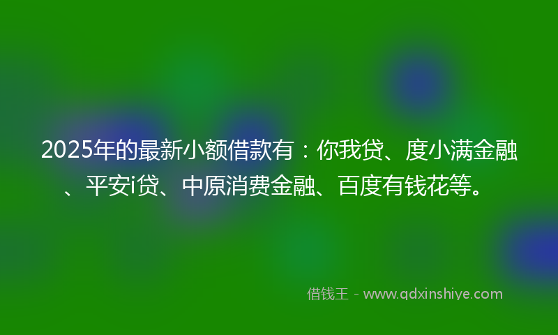 2025年的最新小额借款有：你我贷、度小满金融、平安i贷、中原消费金融、百度有钱花等。