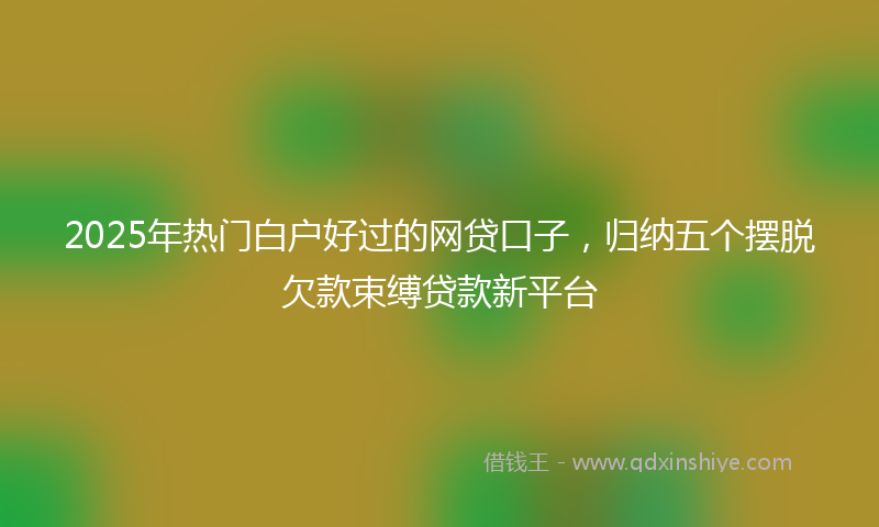 2025年热门白户好过的网贷口子，归纳五个摆脱欠款束缚贷款新平台