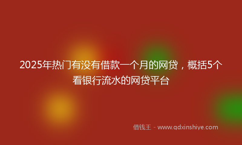 2025年热门有没有借款一个月的网贷，概括5个看银行流水的网贷平台