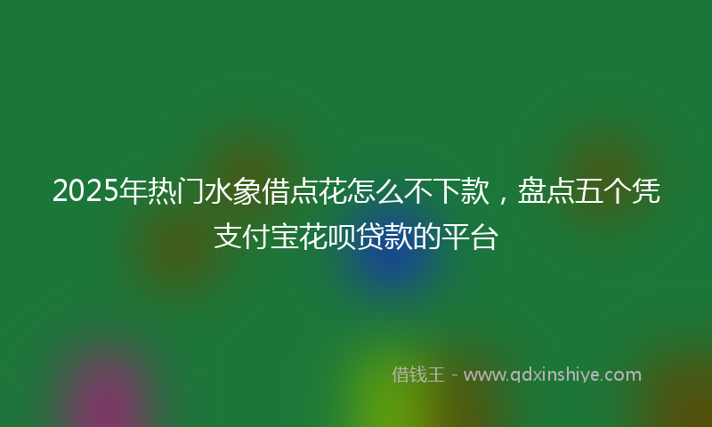 2025年热门水象借点花怎么不下款，盘点五个凭支付宝花呗贷款的平台