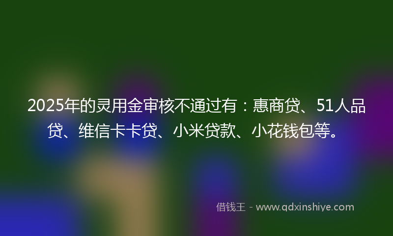 2025年的灵用金审核不通过有：惠商贷、51人品贷、维信卡卡贷、小米贷款、小花钱包等。