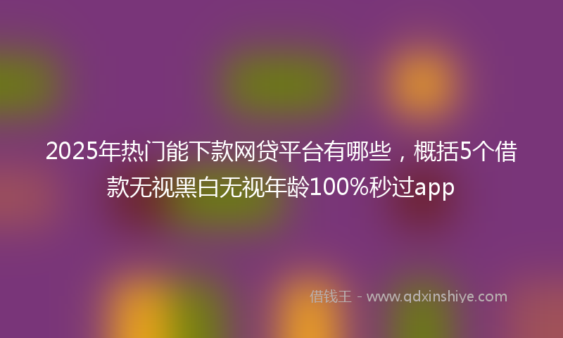 2025年热门能下款网贷平台有哪些，概括5个借款无视黑白无视年龄100%秒过app
