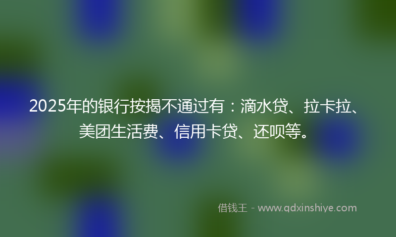 2025年的银行按揭不通过有：滴水贷、拉卡拉、美团生活费、信用卡贷、还呗等。