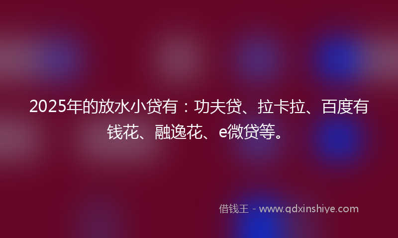 2025年的放水小贷有：功夫贷、拉卡拉、百度有钱花、融逸花、e微贷等。