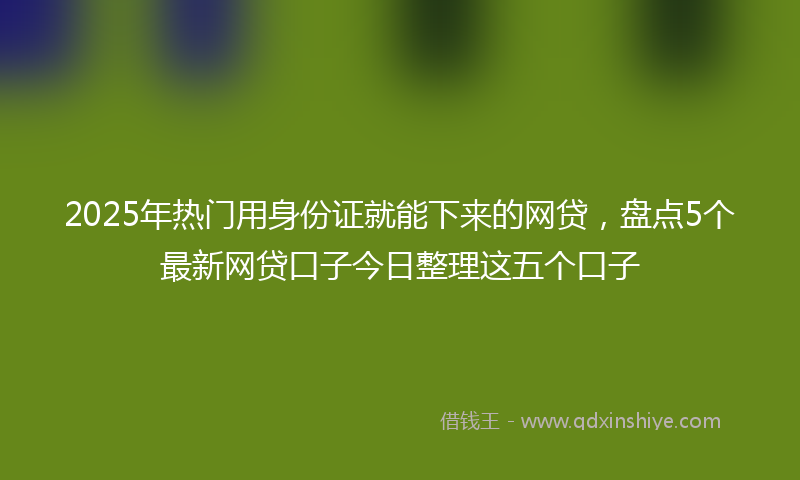2025年热门用身份证就能下来的网贷，盘点5个最新网贷口子今日整理这五个口子