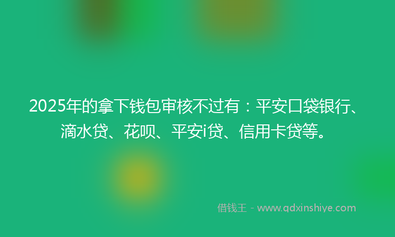 2025年的拿下钱包审核不过有：平安口袋银行、滴水贷、花呗、平安i贷、信用卡贷等。