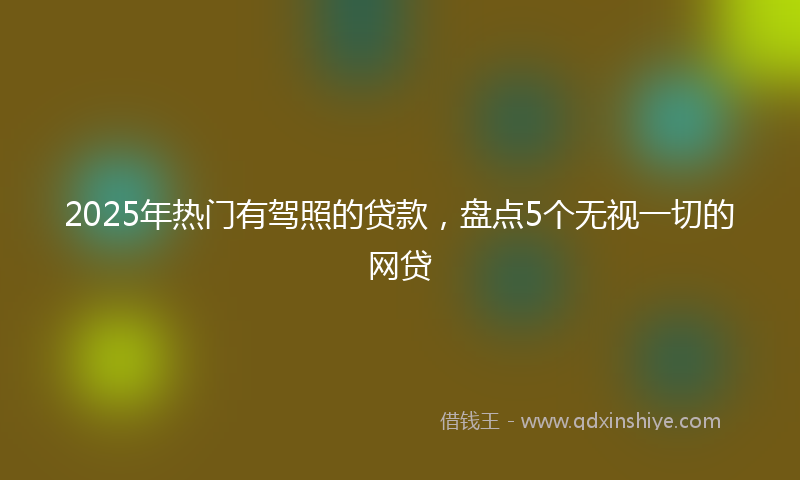 2025年热门有驾照的贷款，盘点5个无视一切的网贷