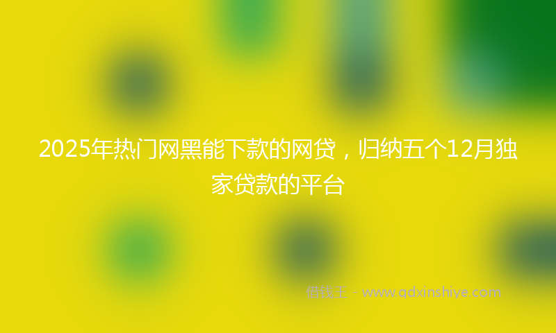 2025年热门网黑能下款的网贷，归纳五个12月独家贷款的平台