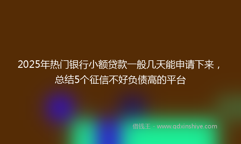 2025年热门银行小额贷款一般几天能申请下来，总结5个征信不好负债高的平台