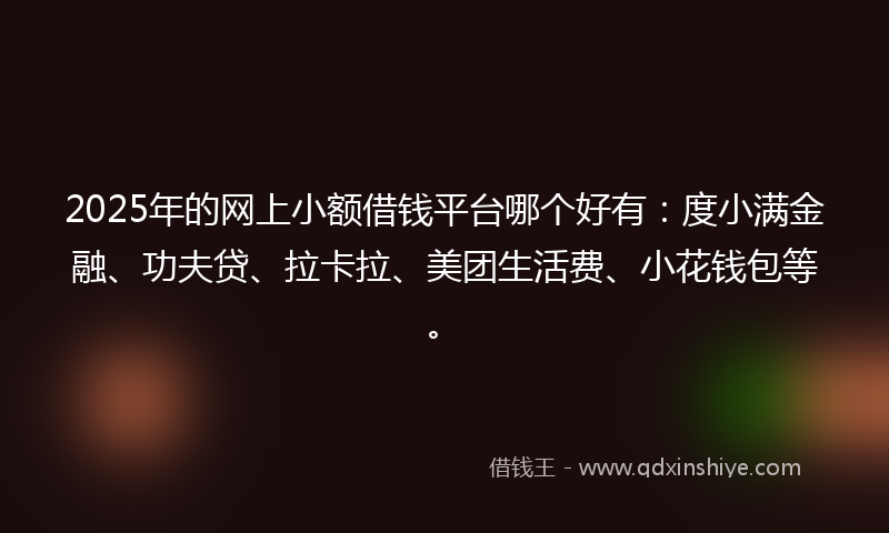 2025年的网上小额借钱平台哪个好有：度小满金融、功夫贷、拉卡拉、美团生活费、小花钱包等。