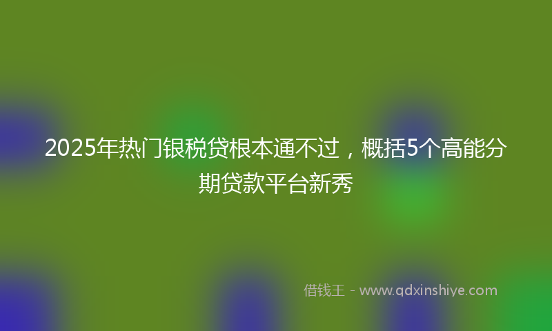 2025年热门银税贷根本通不过，概括5个高能分期贷款平台新秀