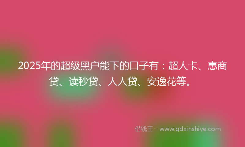 2025年的超级黑户能下的口子有：超人卡、惠商贷、读秒贷、人人贷、安逸花等。