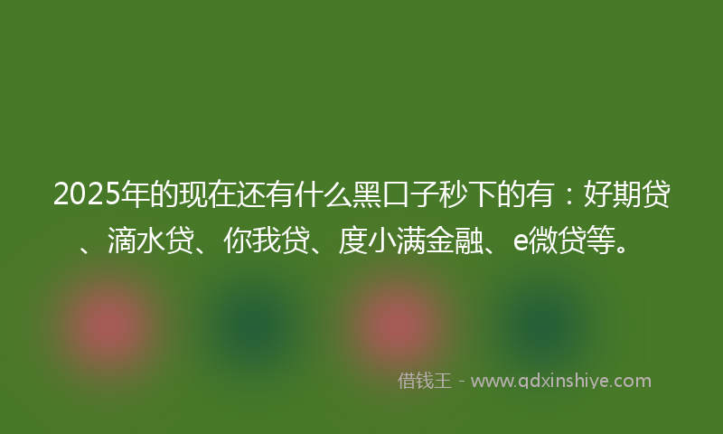 2025年的现在还有什么黑口子秒下的有：好期贷、滴水贷、你我贷、度小满金融、e微贷等。