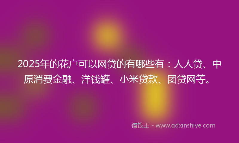 2025年的花户可以网贷的有哪些有：人人贷、中原消费金融、洋钱罐、小米贷款、团贷网等。