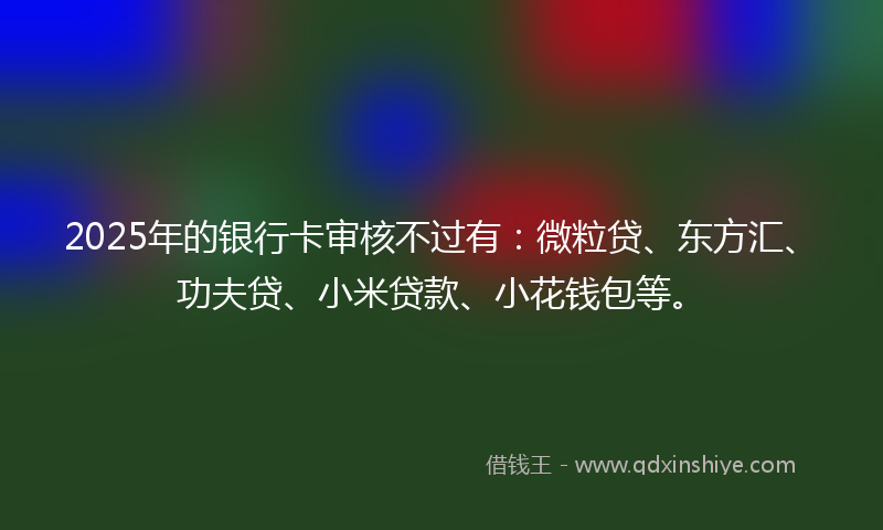 2025年的银行卡审核不过有：微粒贷、东方汇、功夫贷、小米贷款、小花钱包等。
