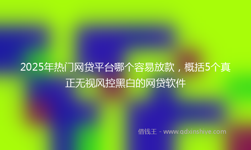 2025年热门网贷平台哪个容易放款，概括5个真正无视风控黑白的网贷软件
