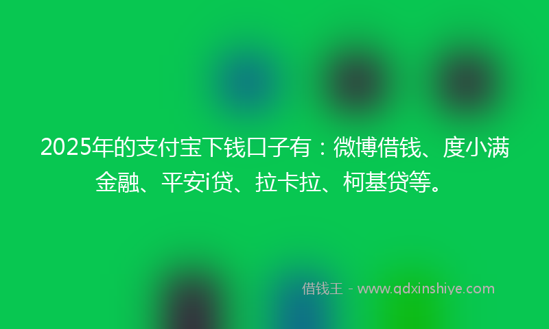 2025年的支付宝下钱口子有：微博借钱、度小满金融、平安i贷、拉卡拉、柯基贷等。