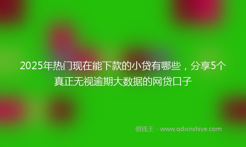 2025年热门现在能下款的小贷有哪些，分享5个真正无视逾期大数据的网贷口子
