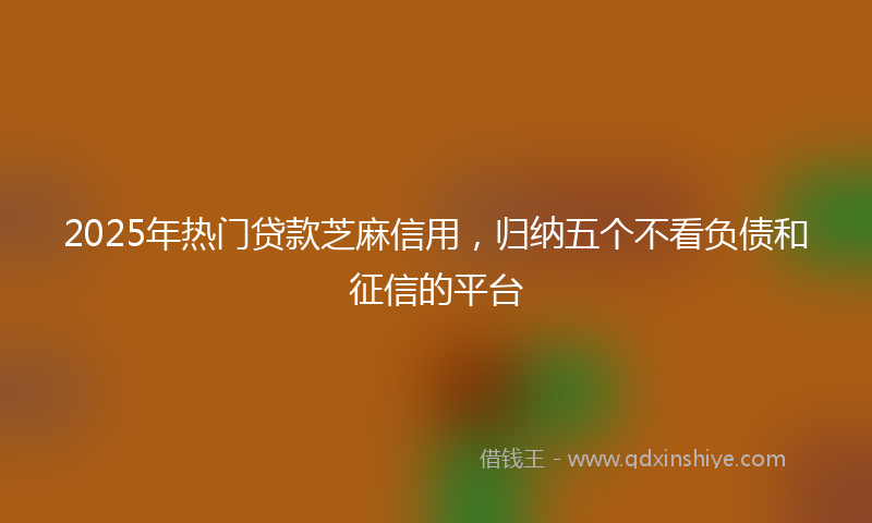 2025年热门贷款芝麻信用，归纳五个不看负债和征信的平台