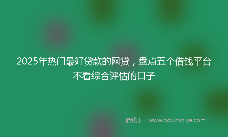 2025年热门最好贷款的网贷，盘点五个借钱平台不看综合评估的口子