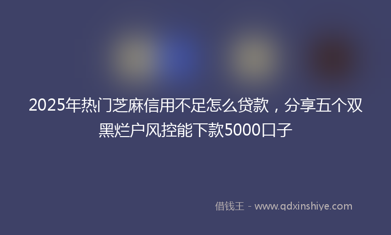2025年热门芝麻信用不足怎么贷款，分享五个双黑烂户风控能下款5000口子