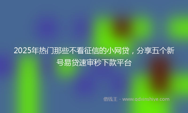 2025年热门那些不看征信的小网贷，分享五个新号易贷速审秒下款平台