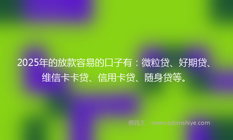 2025年的放款容易的口子有：微粒贷、好期贷、维信卡卡贷、信用卡贷、随身贷等。